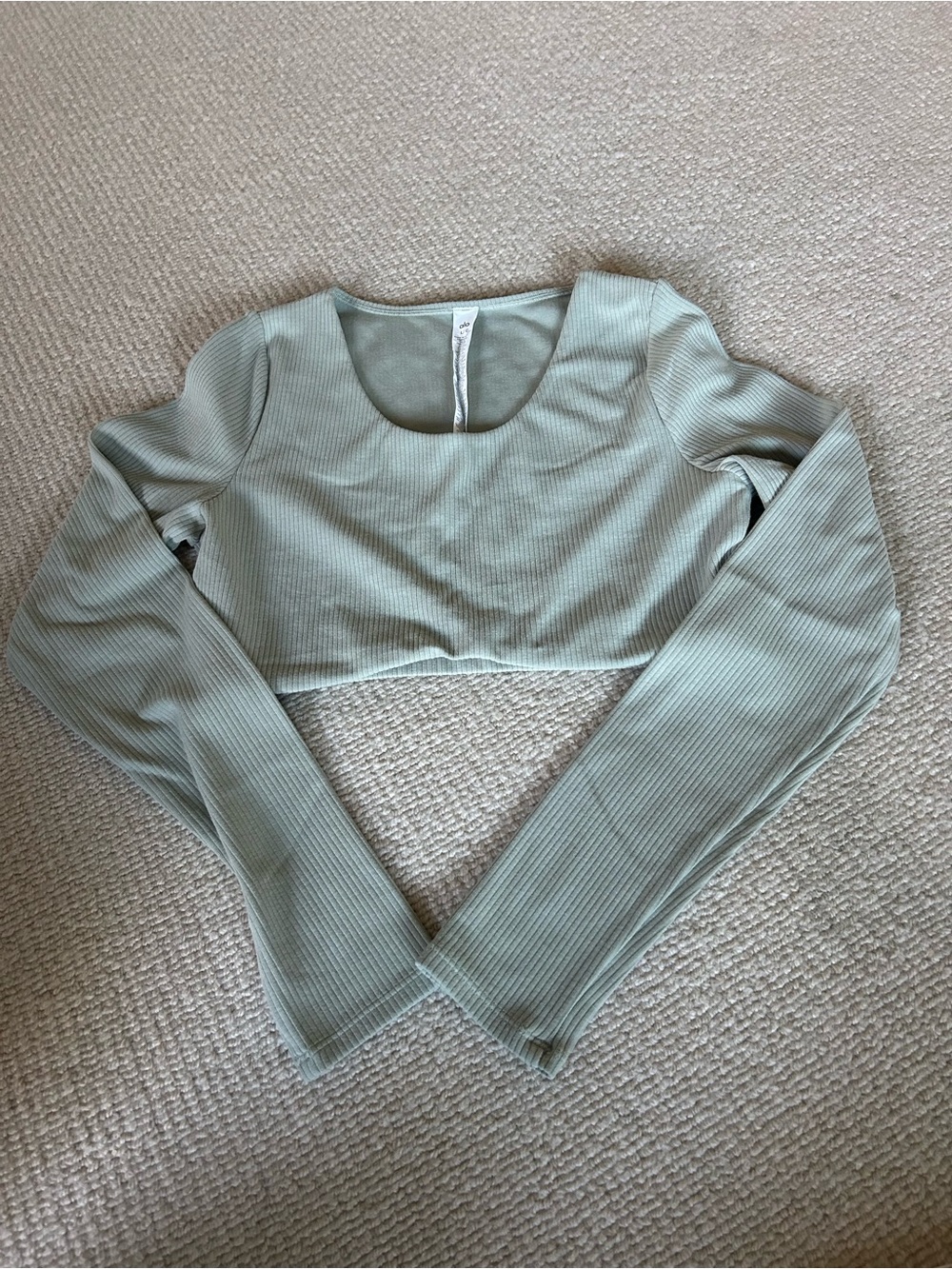 ALO Yoga Ribbed Long Sleeve Crop Top - Sage
